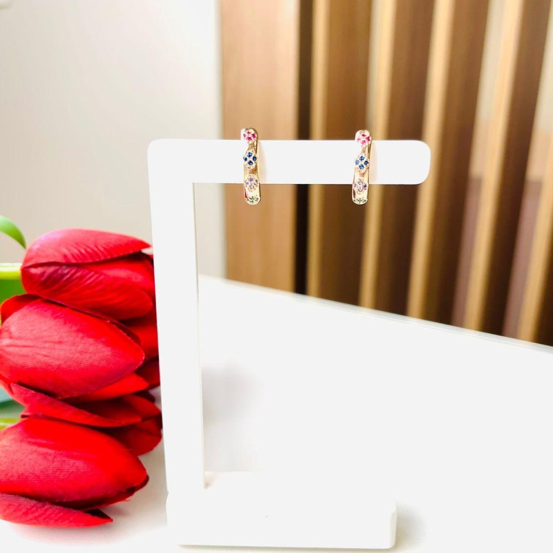 BRINCO EARHOOK MICROCRAVAÇÃO COLORIDA